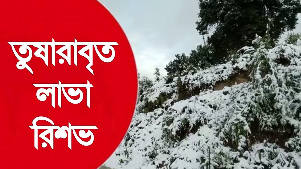 Heavy Snowfall in Kalimpong
